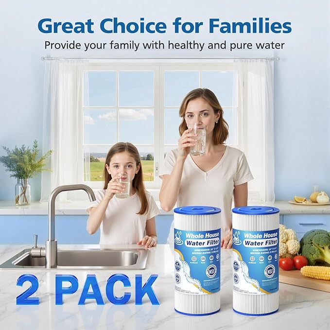 5 Micron 10" x 4.5" Whole House Water Filter Compatible with GE FXHSC, GXWH40L, Plumber W50PEHD, Culligan R50-BBSA, Pentek R50-BB, W10-PR, DuPont WFHDC3001, W50PEHD, High Flow Sediment Filters, 2 Pack