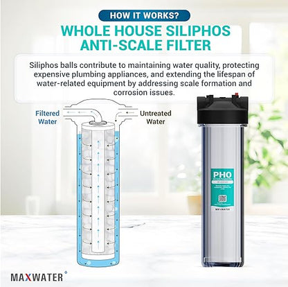 20 x 4.5 Whole House 1 Stage Anti Scale Phosphate Filter System w/ 1" NPTF Port Housing Head Includes Phosphate Filter, Gauge & Bracket BB-20B WH100SP WDS150K CB1-CAB20-BB DB20P