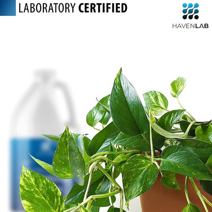 Deionized Water - Demineralized (1 Gallon) Purification Softener for Washing & Cleaning, Automotive Battery Cooling, Laboratory Equipment, Watering Plants, Agua Desionizada Desmineralizada
