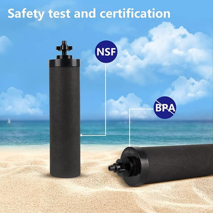 Water Filter Replacement for Black Carbon Block Filters System,Pack of 4 | Compatible with Travel,Big,Royal,Imperial Gravity Countertop Purification Elements, Removes Chlorine,Capacity 6,000 Gallons