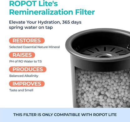 Bluevua Dual-Pack Remineralization Filters, One-Year Set for RO100ROPOT-LITE, Alkaline for Reverse Osmosis Filter, Remineralize and Increase pH for Pure Drinking Water