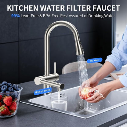 FEELSO Kitchen Faucets with Filtered, Stainless Steel Filter Kitchen Faucet with Pull Down Sprayer Reduces Lead, Chlorine, Bad Taste & Odor,High Arc Kitchen Sink Faucet 1 or 3 Hole for Farmhouse