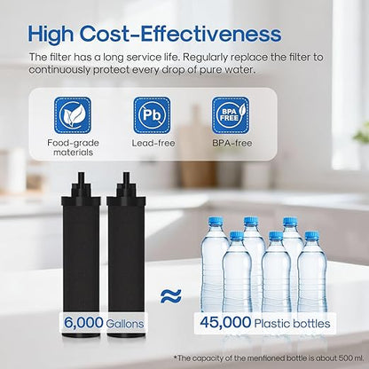 ICEPURE 2.25G Gravity-fed Water Filter System with Sight Glass Spigot, 304 Stainless Steel Countertop System, 2 Black Carbon Filters and Stand, Reduce 99% Chlorine, Lead for Home, Camping, Emergencies