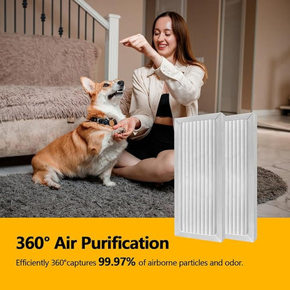 2 Pack 990051000 True HEPA Air Purifier Replacement Filter Compatible with Hamilton Beach TrueAir 04383 04384 04385 04386 Air Purifiers Pet Filter Replacement