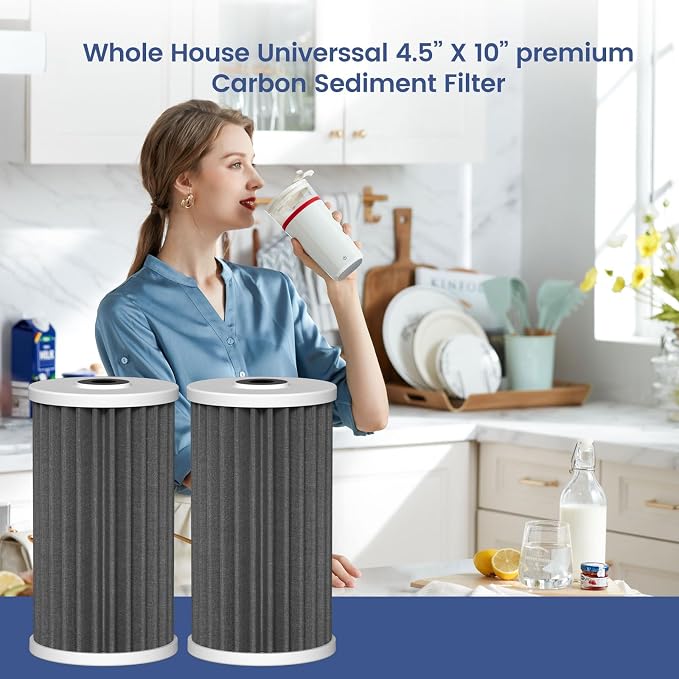 4.5"x10" 5 Micron Carbon Sediment Water Filter Replacement Cartridge Compatible with AO Smith Whole House Filtration Systems - AO-WH-PREL-RCP, 2 Pack