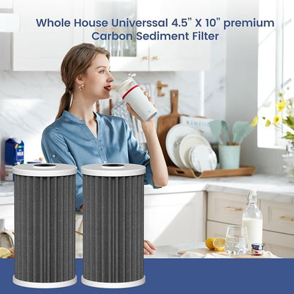 4.5"x10" 5 Micron Carbon Sediment Water Filter Replacement Cartridge Compatible with AO Smith Whole House Filtration Systems - AO-WH-PREL-RCP, 2 Pack