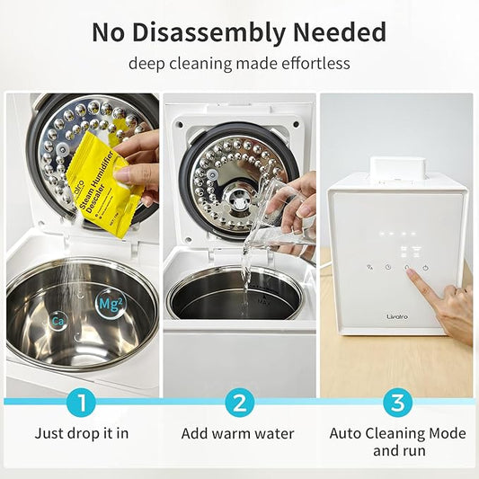 Citric Acid Cleaning – 8 Individually Wrapped Descalers for Humidifiers, Kettles & Distillers | Powerful Anti‑Limescale, Moisture‑Resistant & Eco‑Friendly
