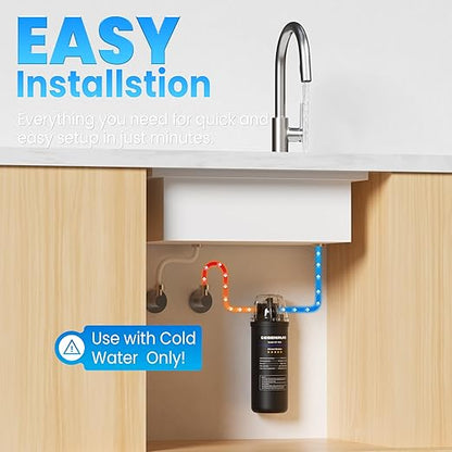 Under Sink Water Filter, House Faucet Water Filter for Kitchen Sink, Under Counter Direct Connect to Kitchen Faucet, Reduces 99% Chlorine, Bad Taste & Odor, 10000 Gallons, by DESENRUIS