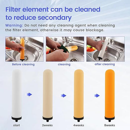 Satinless Steel Countertop Water Filter System, 5-Stage Alkaline Water Filter, 8000 Gallons Faucet with 1 Washable Ceramic Filter (BY-10P-M12)