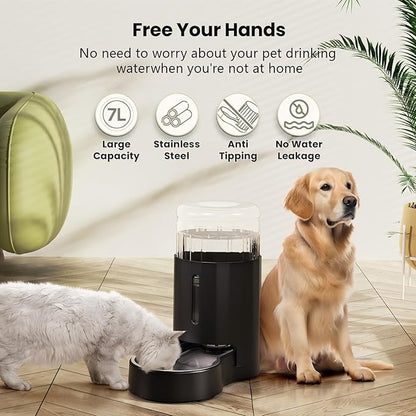 CZPET Dog Water Bowl Dispenser 7L, Wider Mouth & Upgraded Brush for Easy Cleaning Automatic Cat Gravity Refilling Waterer with Removable Stainless Steel Bowl, Large Drinking Area for Multi-Pet (Black)