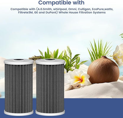 4.5"x10" 5 Micron Carbon Sediment Water Filter Replacement Cartridge Compatible with AO Smith Whole House Filtration Systems - AO-WH-PREL-RCP, 2 Pack