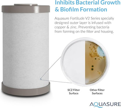 Fortitude V2 Series Sediment/Carbon/Zinc Bacteria Inhibiting Triple Purpose Replacement Filter - Standard (Sediment/Carbon/Zinc, Standard)