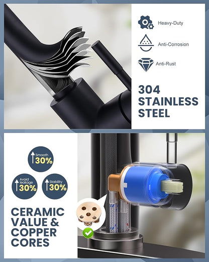 Kitchen Faucet with Air Gap: WOWOW Stainless Steel Kitchen Sink Faucet and Dishwasher Air Gap Kits for Kitchen Sink 2 or 4 Hole, Matte Black Finish