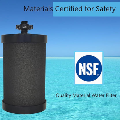 2387 Filter Replacement Compatible with Alexapure Water Filter Replacement, for Alexapure Pro Water Filtration System Black 1 Pack