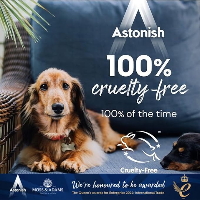 Descaling Foaming Powder | Tea & Coffee Mugs, Pots, Kettles & Stainless Steel | Dissolves Limescale & Eliminates Stains | Astonish Clean & Revive