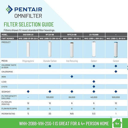Pentair OMNIFilter Whole Home Valve-in-Head 20" Heavy-Duty Big Blue Water Filtration System with Pressure Relief, White/White