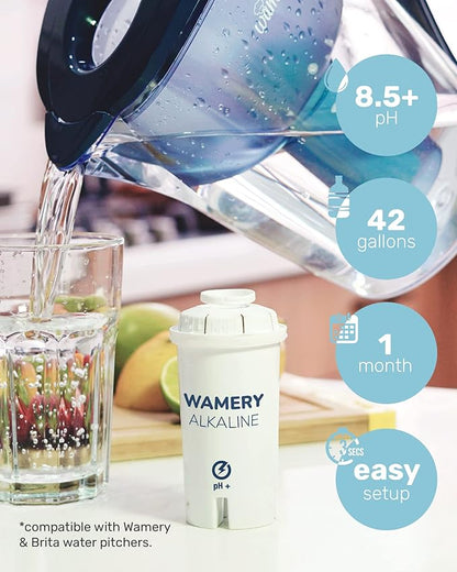 Wamery Alkaline Pitcher Water Filter Replacement - Single Filter, Improves pH & Taste, 42-Gallon Capacity, Coconut Activated Carbon with Mineral Layer, Leak-Free Fit, Easy Install, BPA-Free