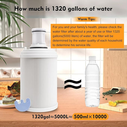 100186 Water Filter + Pre-Filter Compatible with Amway eSpring Water Purifier, 4 Times High Efficiency Pre-Filter Layer Adsorbs Harmful Element, Make Water healthier. Lasts 1 Year or Filters 1320 gal