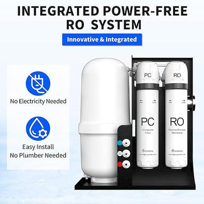WINGSOL Integrated Reverse Osmosis Water Filter, NSF/ANSI 42&53&58, 10-Stage Under Sink RO Filtration System for pH+ Alkaline Remineralization Water, Easy Installation, No Electricity Needed