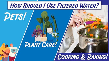 New Wave Enviro 10 Stage Plus Inline Water Filter System | 800 Gallon Capacity | Easy Install for Renters | Reduces Chlorine, Lead, Mercury, Arsenic, PFAS | Sustainable, Affordable Clean Water