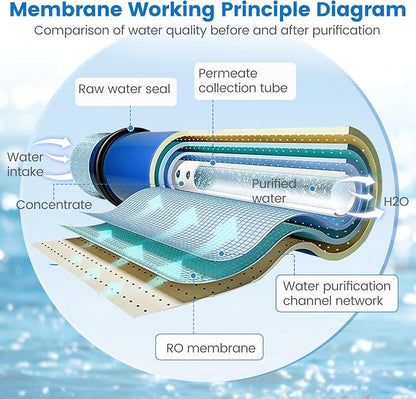 ULP-4040, 4040 ULP Membrane for Ultra Low Pressure Commercial Membrane, 2600GPD, TDS≤ 2000 ppm, Salt Rejection 99.3%, for Surfacewater, Groundwater, Tap and Municipal Water, NSF Certified