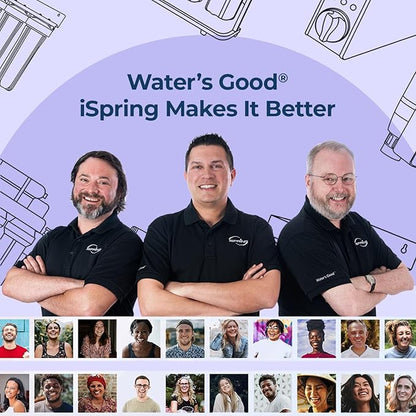 iSpring F3WGB31BPFKDS Whole House Water Filter Replacement Pack, SGS-Tested, Reduces PFAS, Scale, Heavy Metals, Chlorine, Corrosion, Taste & Odor, Up to 12 Months, 4.5” x 10”, Fits WGB31B-PFKDS