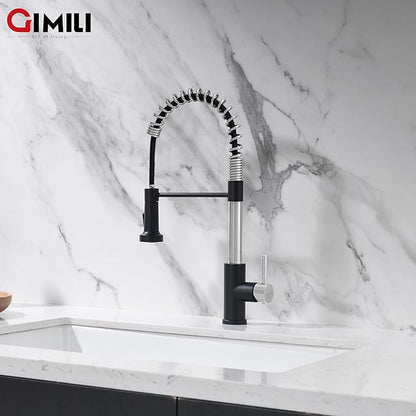GIMILI Kitchen Faucet with Pull Down Sprayer Single Hole Stainless Steel Sink Faucet, Suitable for Farmhouses, RV, Laundry Room, Outdoor, and Campers. Llave para fregadero de cocina Nickel and Black