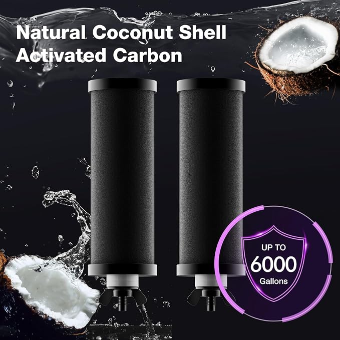 Black Purification Elements, Replacement Filters for ProOne® and Berlkey® Filters, ProOne® Big+ or Berlkey® Big Countertop Gravity Water Filter System, NSF 42&372 Certified(4 Pack)