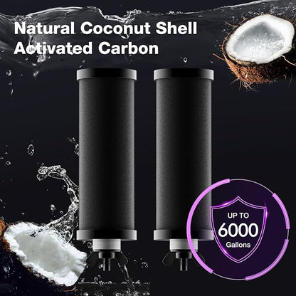 Black Purification Elements, Replacement Filters for ProOne® and Berlkey® Filters, ProOne® Big+ or Berlkey® Big Countertop Gravity Water Filter System, NSF 42&372 Certified(4 Pack)