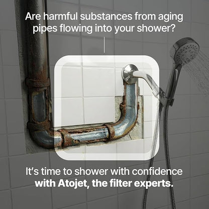 Essential Everyday Shower Ritual Elevating Korea’s Beauty Legacy – High-Purity Sediment Filters for Softer Skin & Smoother Hair | 1 Year Advanced Filtration Set (JNE100-SET-1YR)