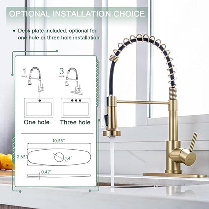 WEWE Brushed Gold Kitchen Faucet with Pull Down Sprayer, RV Brass Kitchen Faucet Stainless Steel Single Handle Spring Faucet with Deck Plate for Farmhouse Utility bar Laundry Sinks