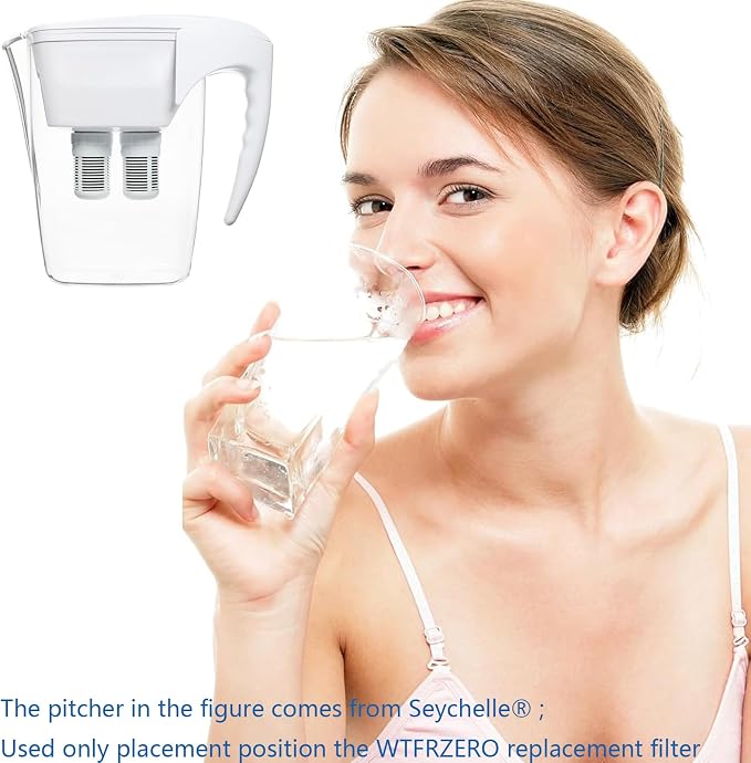 Regular Replacement Filters fits Seychelle - for Gen 2 Dual Water Pitcher, Reduces PFOA/PFOS, Chlorine, compatible with Alexapure Pitcher Water Filtration System, Lasts 3 Months or 200 Gallons, 1 Set