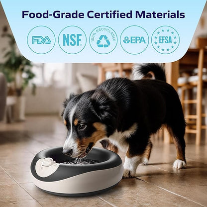 Maxi Filtered Dog Water Bowl, 2L/68oz - No Power or Batteries Needed, Auto-Refill, No Spill, Portable Travel Lock, Carbon Filter, BPA-Free, Dogs & Cats