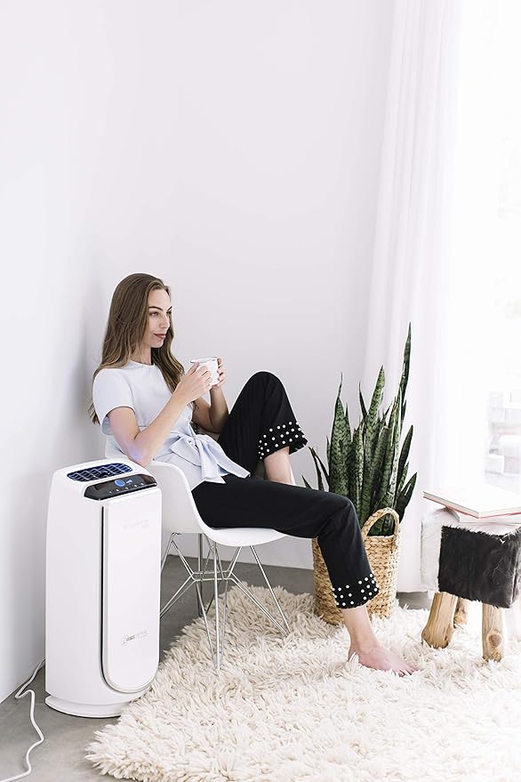 Rowenta XD6065 Active Carbon Filter Odor Eliminator for PU4020 Intense Pure Air Bedroom Auto Purifier