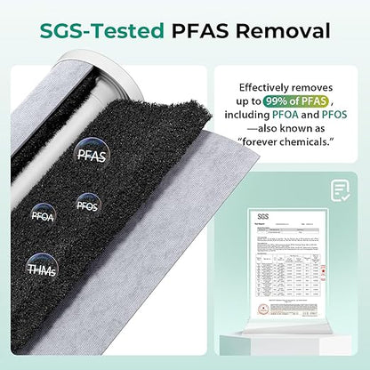 iSpring PFAS & Heavy Metal Whole House Water Filter System, Also Reduces Chlorine, Hydrogen Sulfide, Odor, Bad Taste, SGS-Tested Reducing up to 99% of PFAS, 1” Inlet/Outlet, Model: WGB22B-PFKS