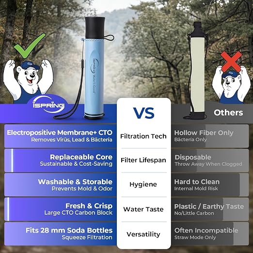 iSpring IFS-B2F2 Water Filter Straws, 2 Pack + 2 Extra Washable Filter Elements, Electro-Adsorption & Carbon Block, Reduces Micro-Organisms & Lead, SGS-Tested Purifier for Camping, Hiking & Emergency
