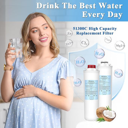 51300C Filters, Replacement for Elkay 51300C EWF3000 Filter By NSF/ANSI 42 Certified,Compatible with Ezh2o Filter Replacement Bottle Stations, High Capacity 3000 Gallon (No Chip) 3 Packs