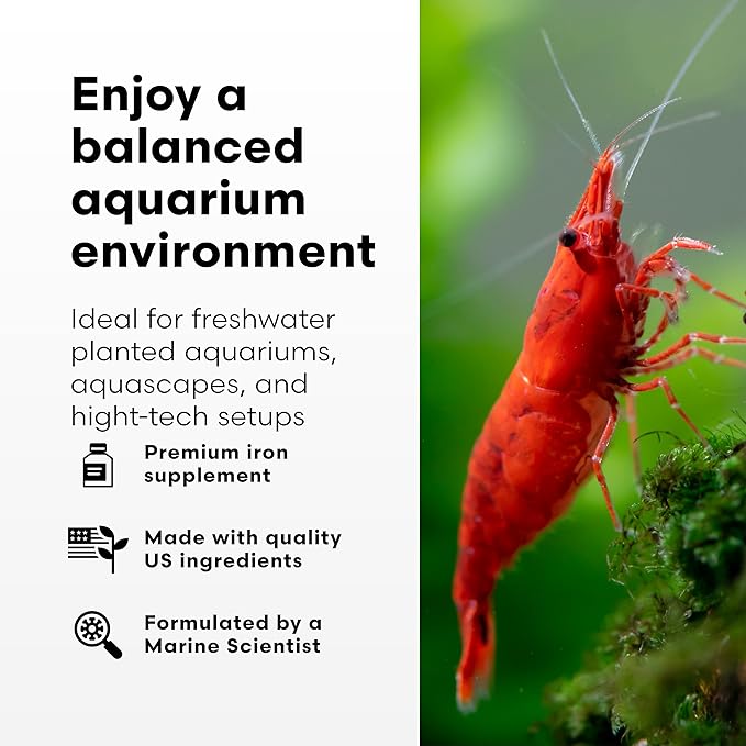 Brightwell Aquatics Florin-Fe Iron Supplement for Planted Aquariums – Dual-Action Iron Source for Plant Growth, Chlorophyll & Vibrant Foliage – Daily Dosing, 2L