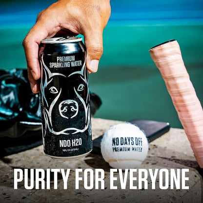 NO DAYS OFF Premium Sparkling Water - 12 Pack,16 fl oz, Unflavored - Ultra-Purified Reverse Osmosis with Gentle Carbonation, BPA-free 100% Recyclable Cans