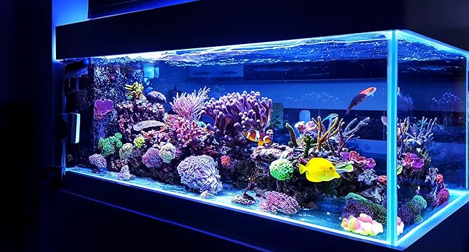 Awesome Aquatic Mixed Bed DI Resin 1.25 lb Resintech MBD-30 Nuclear Grade Color Changing DI Resin Deionization RO/DI 10" Filter Cartridge Refill (1.25 lb)