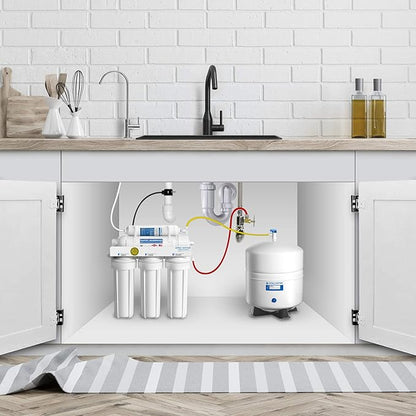 APEC Water Systems Tank-4 4 Gallon Residential Pre-Pressurized Reverse Osmosis Water Storage Tank