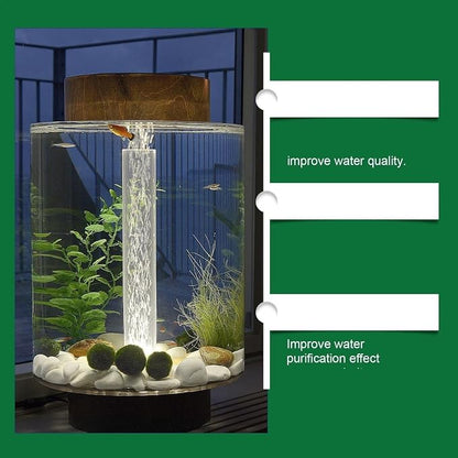 Water Purification Tablets 2PCS