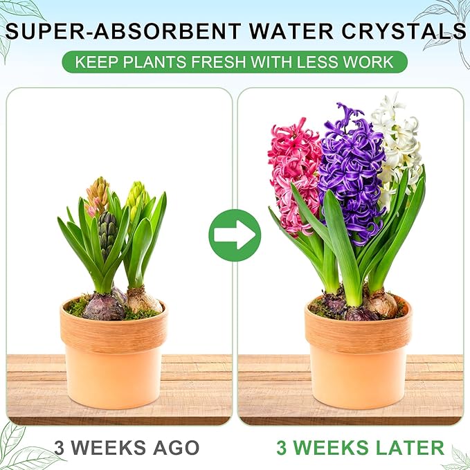 XSEINO 2LB Soil Moisture Crystals Water-Absorbing Hydrogel for Plants Solves Over and Under-Watering, Long-Lasting Water Retention to Keep Soil Moist Polymer Water Storage Crystals