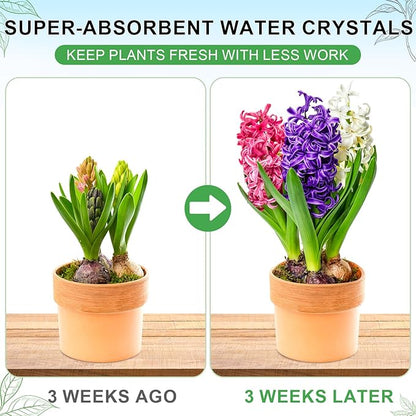 XSEINO 3LB Soil Moisture Crystals Water-Absorbing Hydrogel for Plants Solves Over and Under-Watering, Long-Lasting Water Retention to Keep Soil Moist Polymer Water Storage Crystals