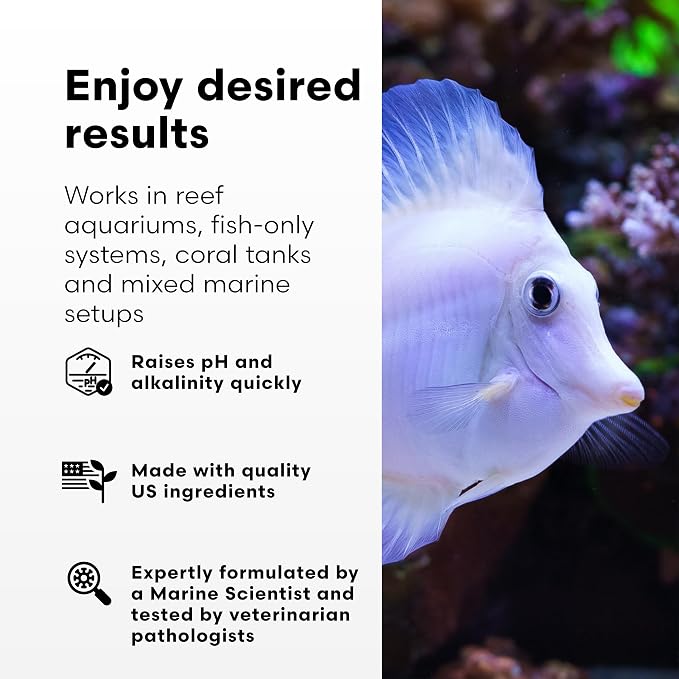 Brightwell Aquatics pH+ Alkalinity Booster for Reef Aquariums, 250 ml