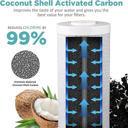 SimPure Whole House Water Filter Cartridges 5 Micron 20" x 4.5" CTO Activated Carbon Block, For DB20P, FC25B, CTO20BB, WHB20, 2 Pack