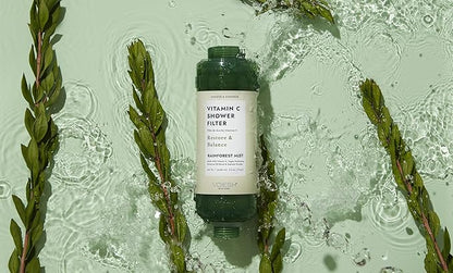 VOESH Vitamin C Shower Filter, Rainforest Mist, Shower Aromatherapy, Water Purifier, Water Softener, Vegan Probiotics, Spa Shower Head, Water Filter, Shower Self-Care
