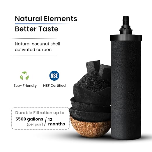 Phoenix Gravity 2.25G Water Filter System with Teak Stand & Fluoride Filter