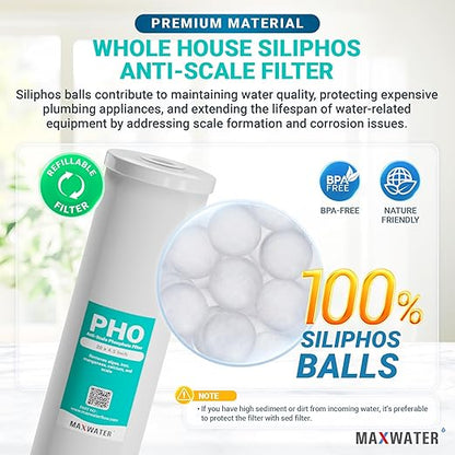 20 x 4.5 Whole House 1 Stage Anti Scale Phosphate Filter System w/ 1" NPTF Port Housing Head Includes Phosphate Filter, Gauge & Bracket BB-20B WH100SP WDS150K CB1-CAB20-BB DB20P