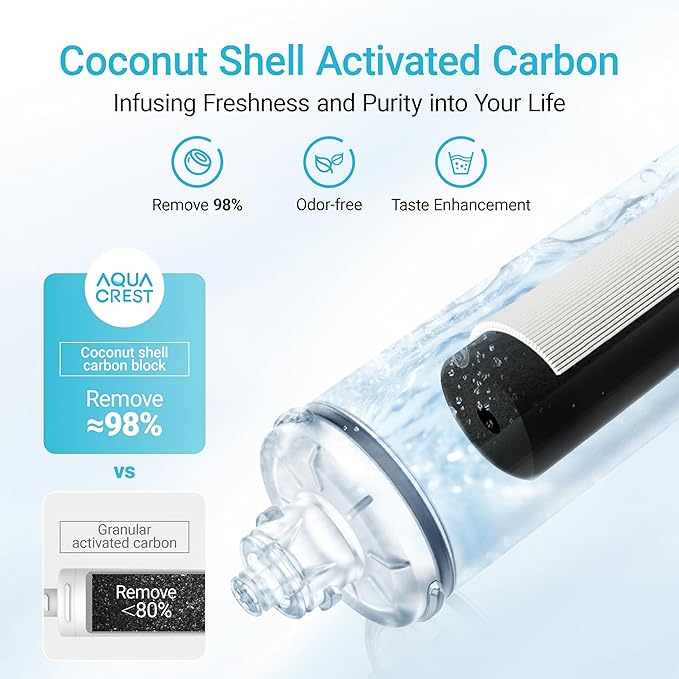 AQUA CREST H-300 Under Sink Water Filter, Replacement for Everpure H-300, H-300-NXT, 7CB5, EV9270-71, EV9270-72, EV9618-11, EV9855-50, EV9282-01, NSF/ANSI 42 Certified, 24000 Gallons, 2 Pack